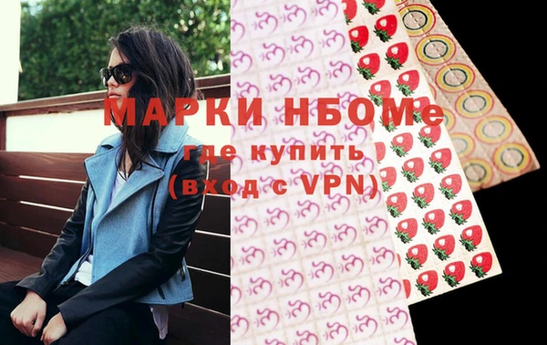 индика Няндома