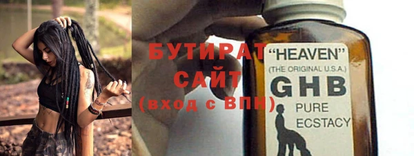 индика Няндома