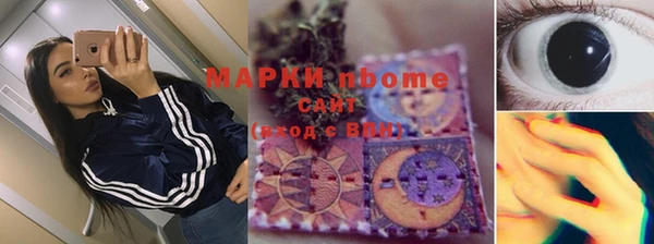 индика Няндома