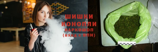 индика Няндома