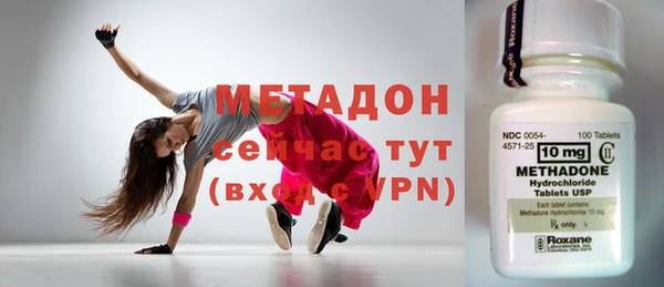 индика Няндома