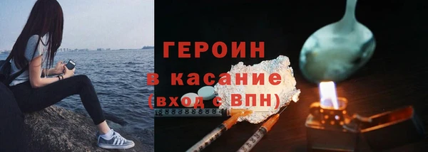индика Няндома