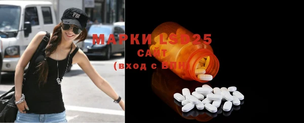 индика Няндома