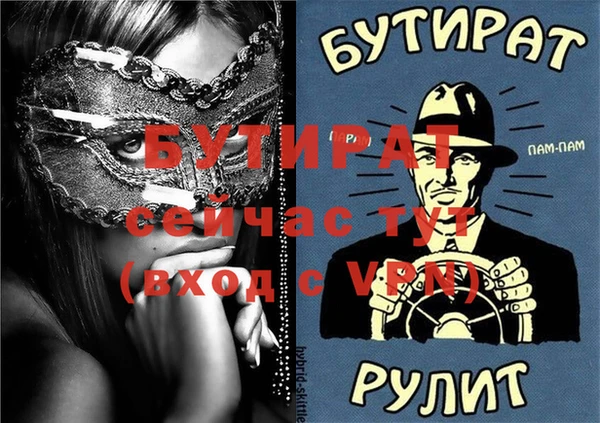 индика Няндома