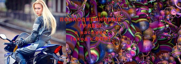 индика Няндома