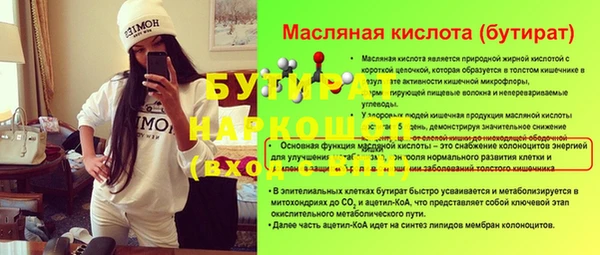 индика Няндома