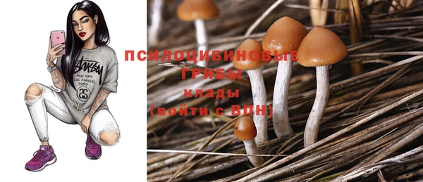 прущая мука Нязепетровск