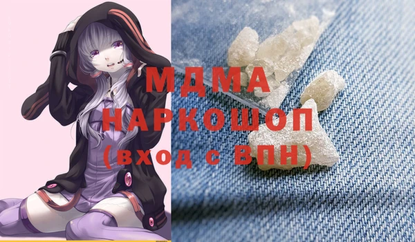 индика Няндома