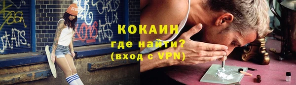 индика Няндома