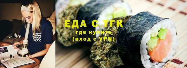 индика Няндома