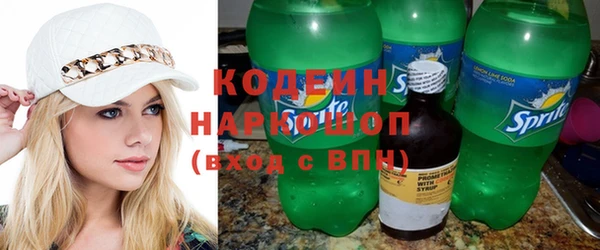 индика Няндома
